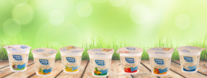 Read more about the article Creamy Tom Milk yoghurts’ new packaging
